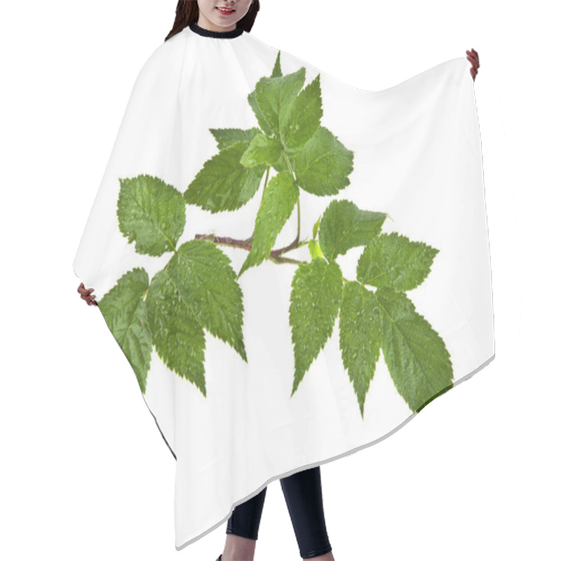 Personality  Fresh Green Leaves Of Raspberry Hair Cutting Cape