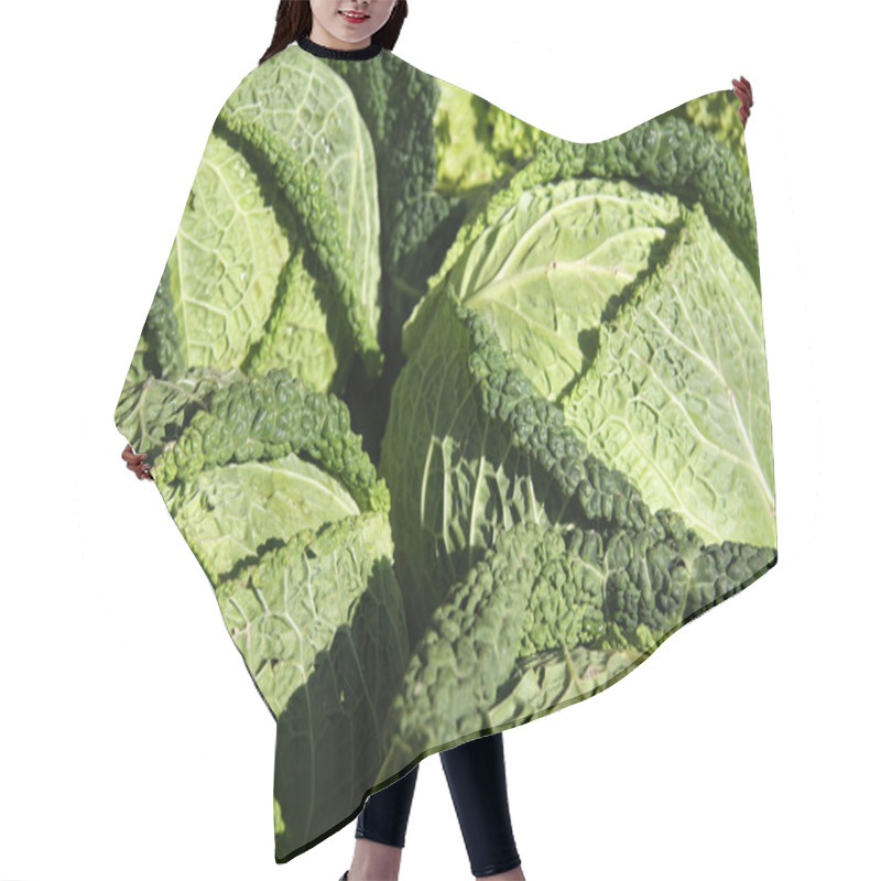 Personality  Savoy Cabbages Hair Cutting Cape