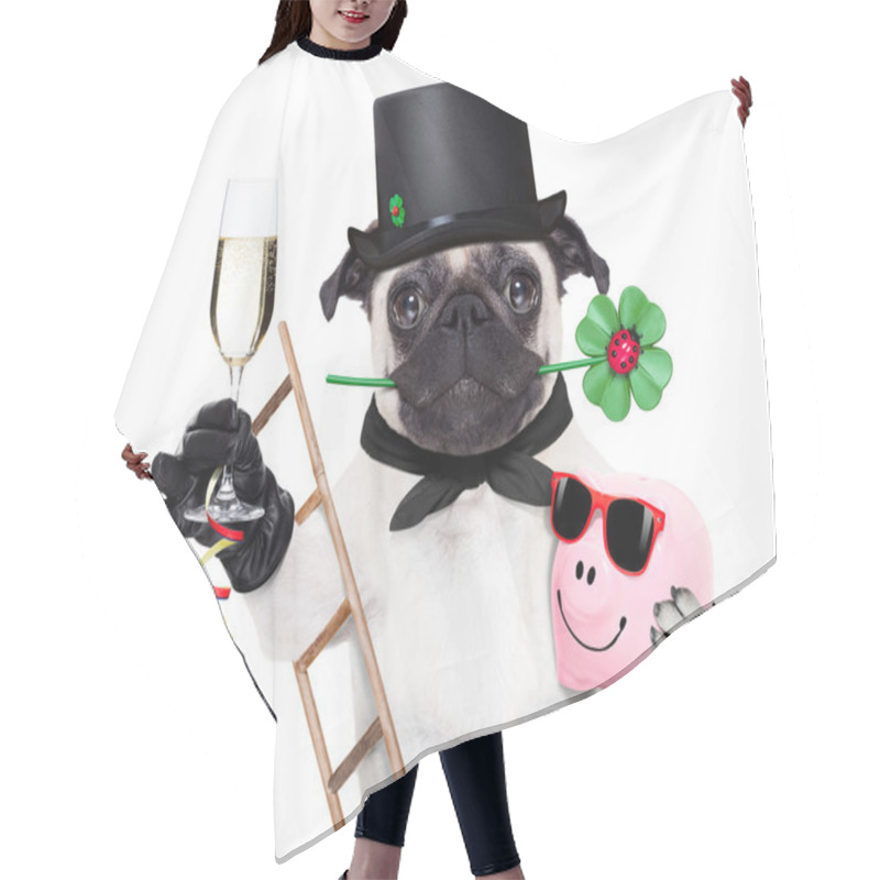 Personality  New Years Eve Dog Hair Cutting Cape