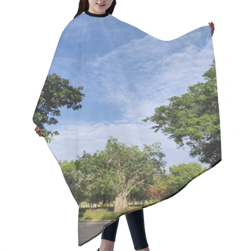 Personality  Serene Outdoor Landscape With Vibrant Green Trees, A Clear Blue Sky, And Scattered Clouds, Captured In Natural Daylight. Perfect For Nature Themes, Tranquility, And Environmental Concepts. Hair Cutting Cape