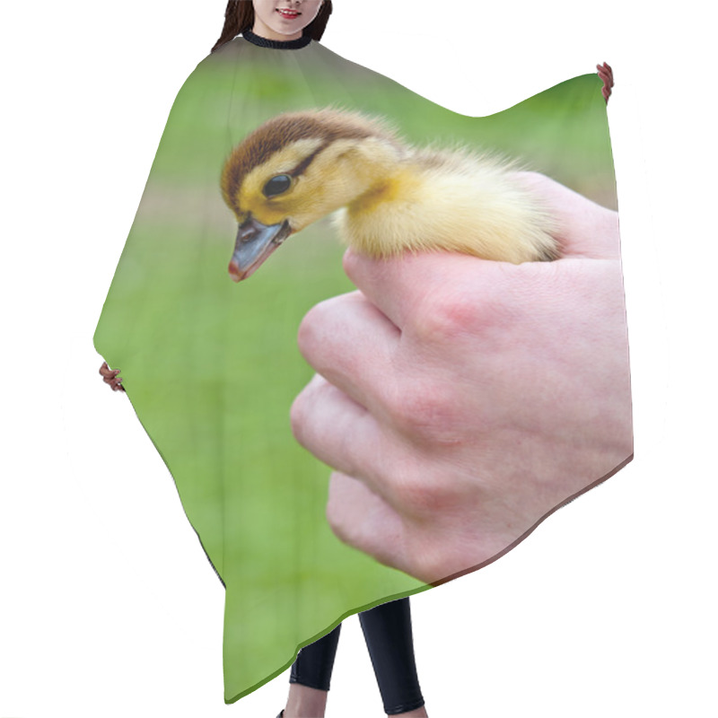 Personality  Chicken In Hands Hair Cutting Cape