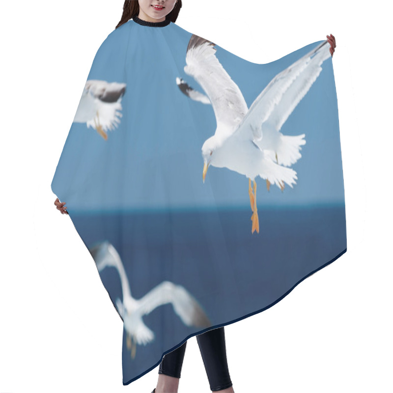 Personality  Seagulls In Flight Over Blue Sea Hair Cutting Cape