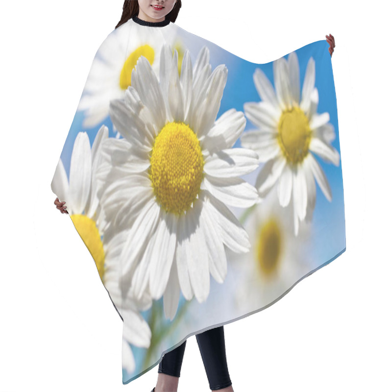 Personality  Spring In Garden And Fields With Wild Flowers: White Daisy Against Blue Sky - Matricaria Perforata / Scentless Mayweed Hair Cutting Cape