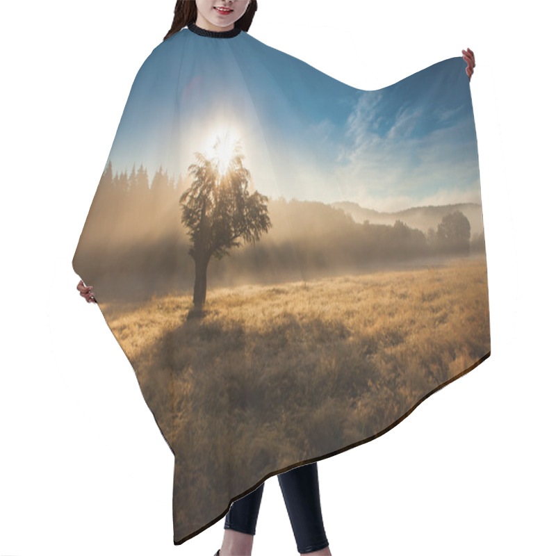 Personality  Morning Sunrise In Fog With Single Tree And Forest In Background Hair Cutting Cape