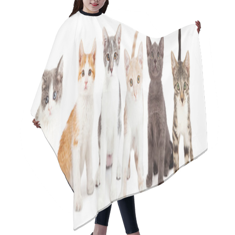 Personality  Group Of Adorable Little Kittens Hair Cutting Cape