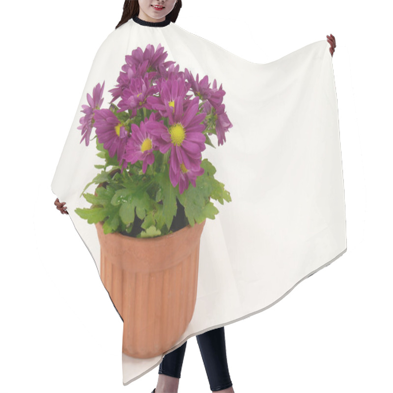 Personality  Chrysanthemum Hair Cutting Cape