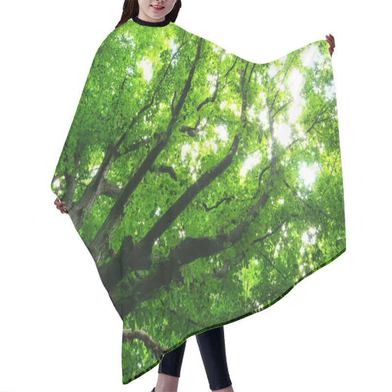 Personality  Spring Summer Flora, Green Leaves Hair Cutting Cape