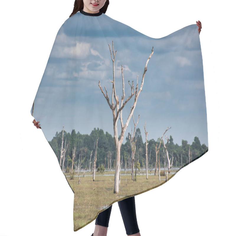 Personality  Scenery View Of The Lake With Dead Trees Around Neak Poan That Is An Artificial Island With A Buddhist Temple On A Circular Island In Jayatataka Baray Hair Cutting Cape