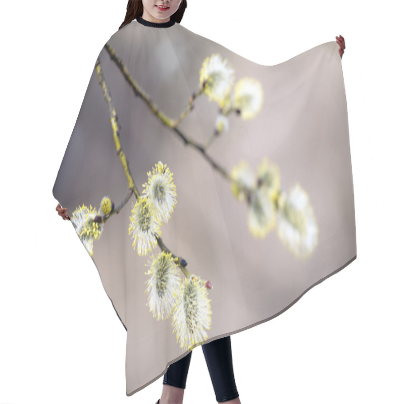 Personality  Blossoming Branch Of A Tree With New Buds In Spring Closeup Hair Cutting Cape