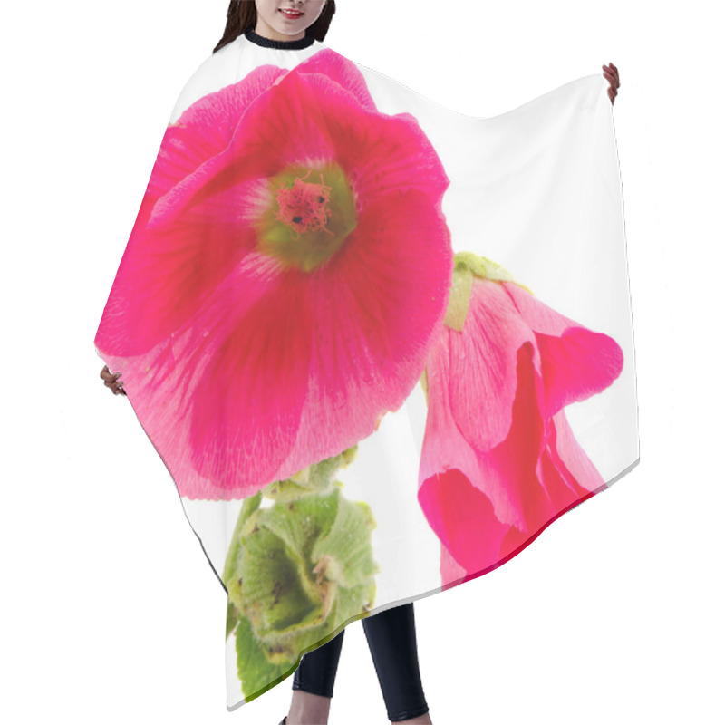 Personality  Mallow Flower Red Plant Bloom Isolated On White Hair Cutting Cape