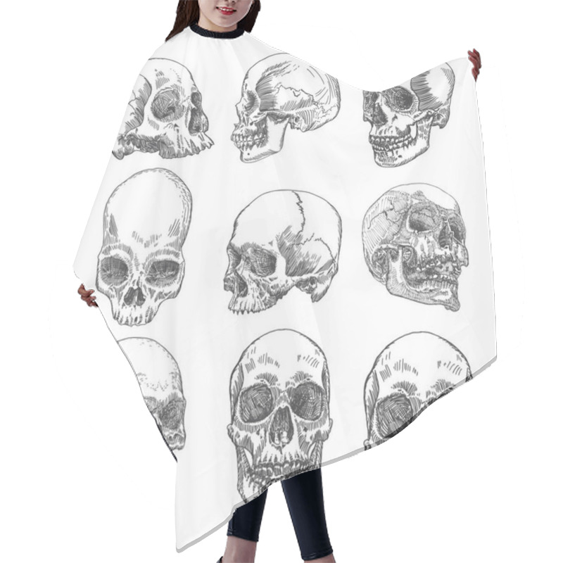 Personality  Set Of Anatomic Skull Sketches Hair Cutting Cape