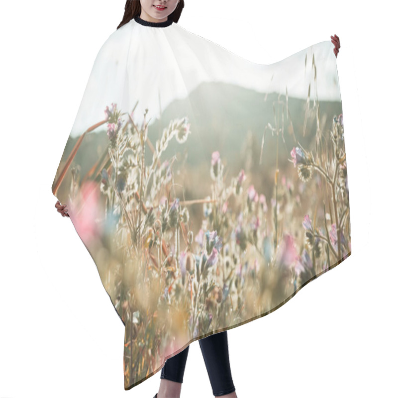 Personality  Sunny Day On The Flowers Meadow. Beautiful Natural Background. Hair Cutting Cape