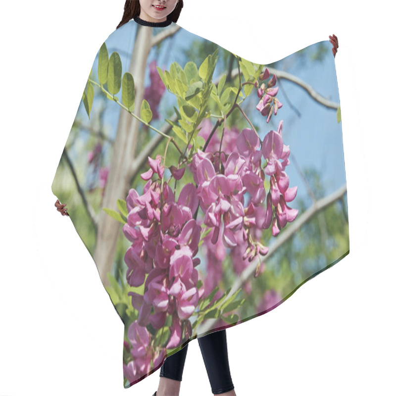 Personality   Bristly Locust, Flowers And Leaves Hair Cutting Cape