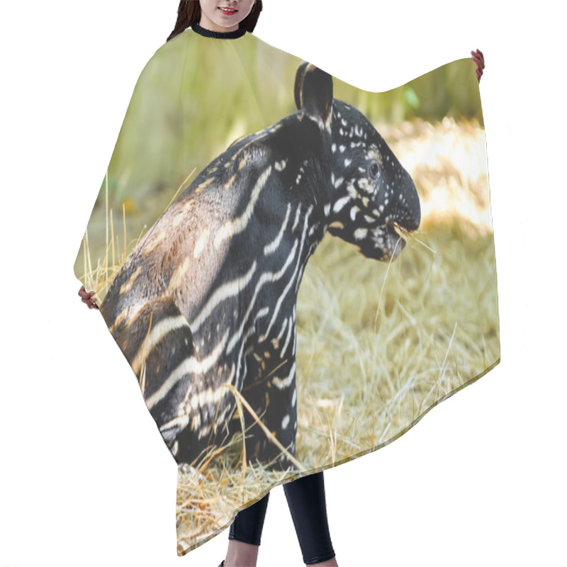 Personality  Baby Malayan Tapir Hair Cutting Cape