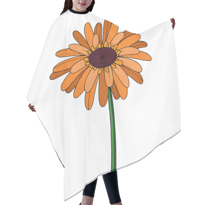 Personality  Vector Gerbera Floral Botanical Flower. Black And White Engraved Hair Cutting Cape