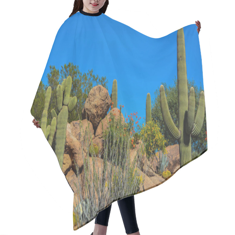 Personality  Desert Cactus Landscape In Arizona Hair Cutting Cape