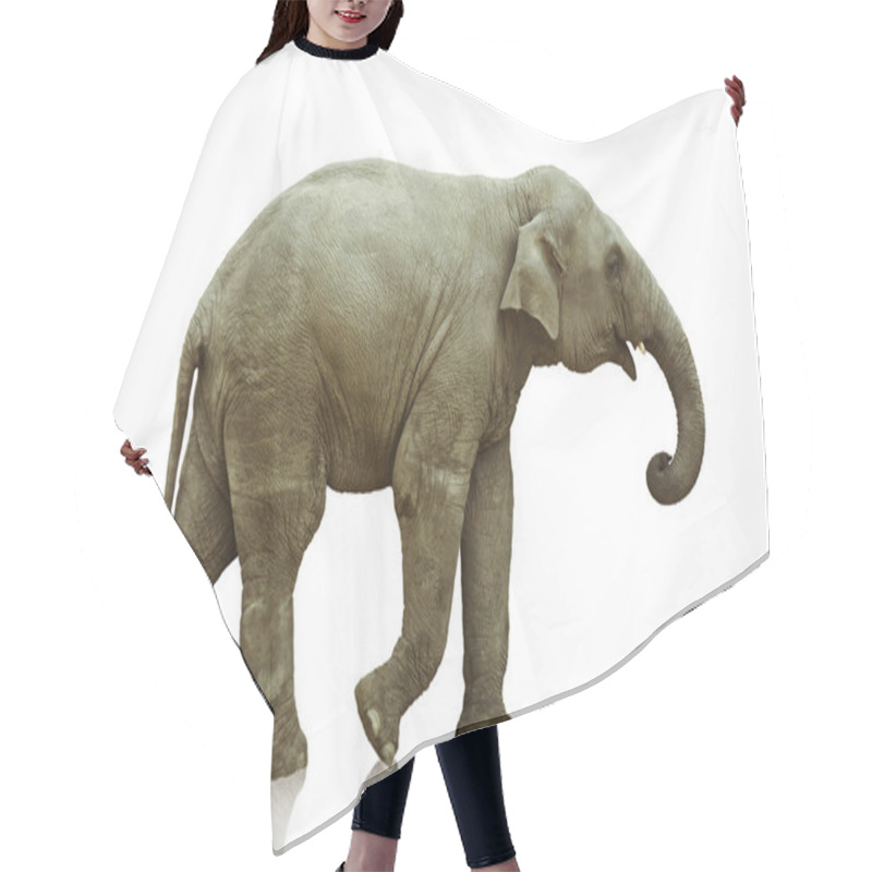 Personality  Elephant Calf Hair Cutting Cape