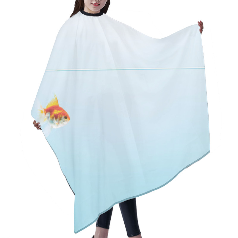 Personality  Pure Calm Water With Goldfish On Blue Background Hair Cutting Cape