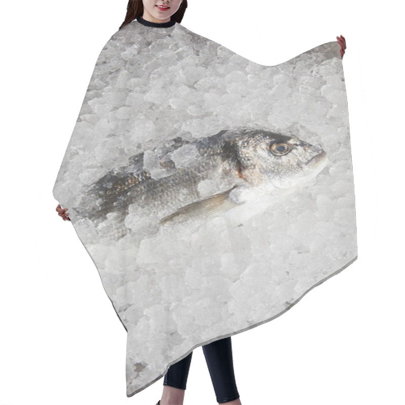 Personality  Top View Of Raw Gilt-head Bream Incrushed Ice Hair Cutting Cape