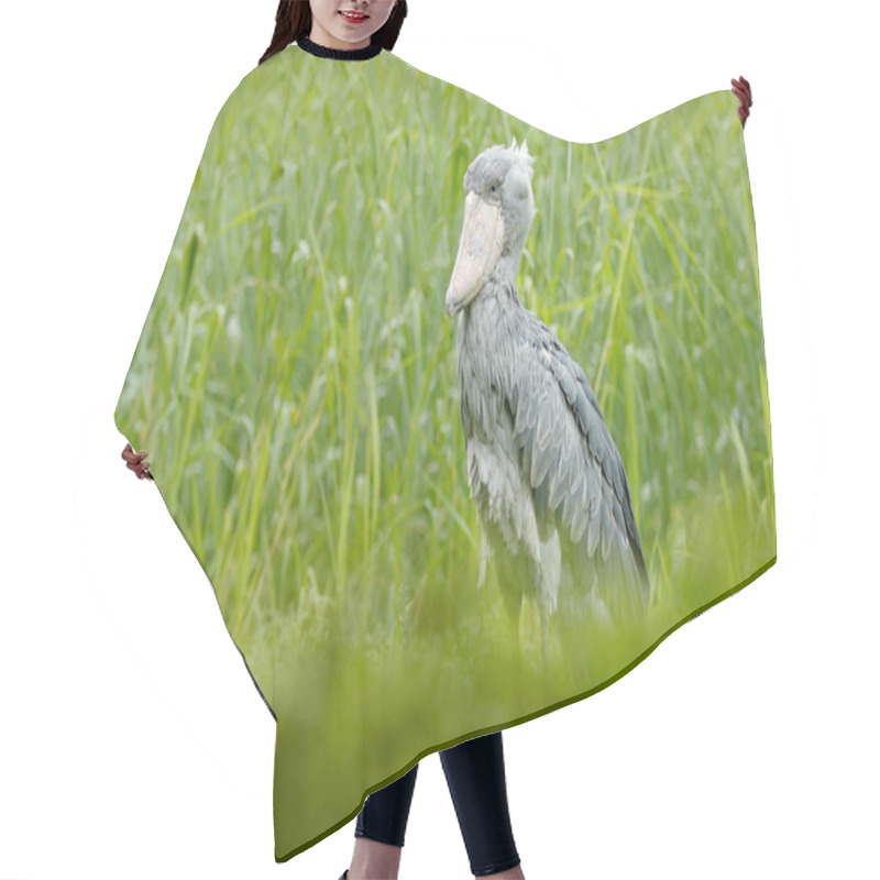 Personality  Shoebill In Nature Habitat Hair Cutting Cape