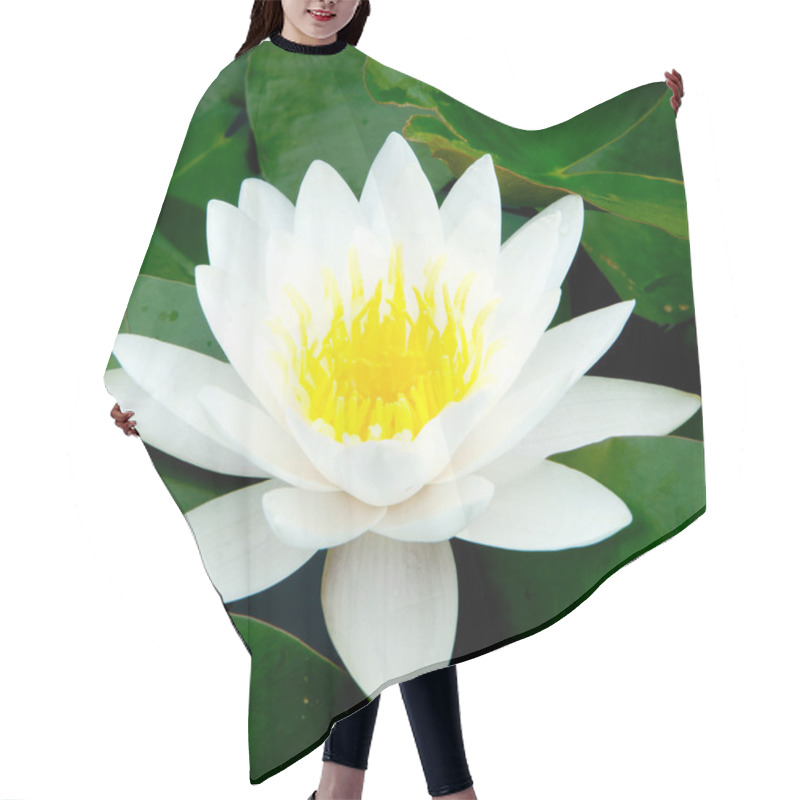 Personality  White Lotus Hair Cutting Cape