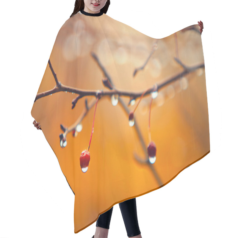 Personality  Autumn Branches Hair Cutting Cape