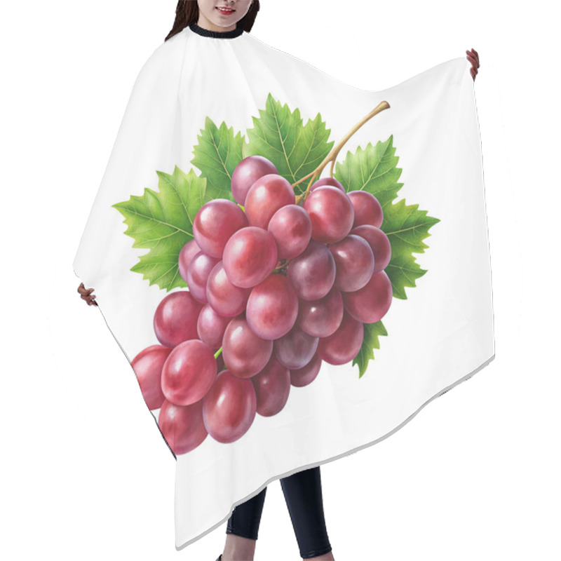 Personality  Grape Png Image And Illustration Hair Cutting Cape