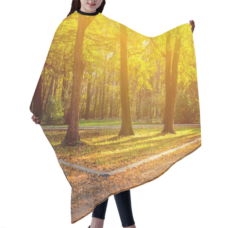 Personality  Autumn Forest With Two Paths Hair Cutting Cape