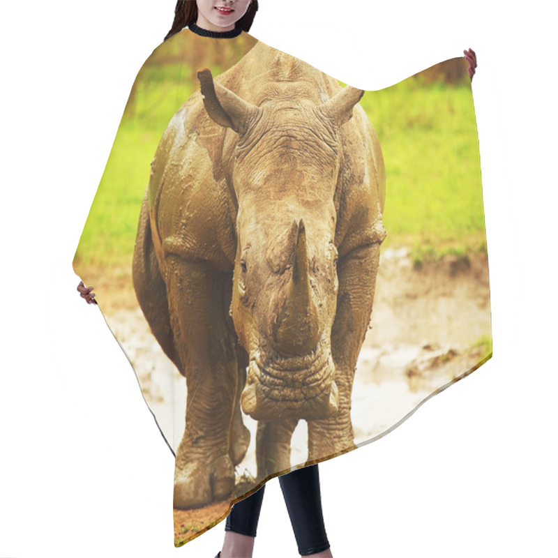 Personality  Huge South African Rhino Hair Cutting Cape