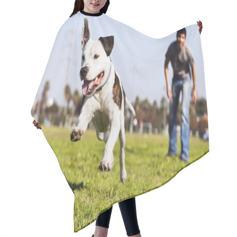 Personality  Mid-Air Running Pitbull Dog Hair Cutting Cape