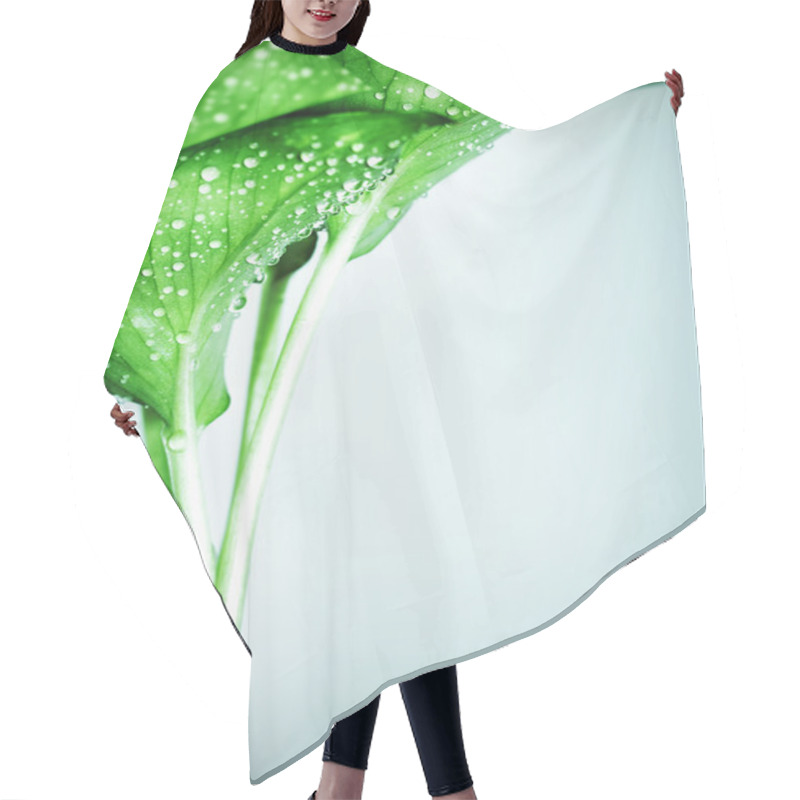 Personality  Fresh Green Leaves Hair Cutting Cape