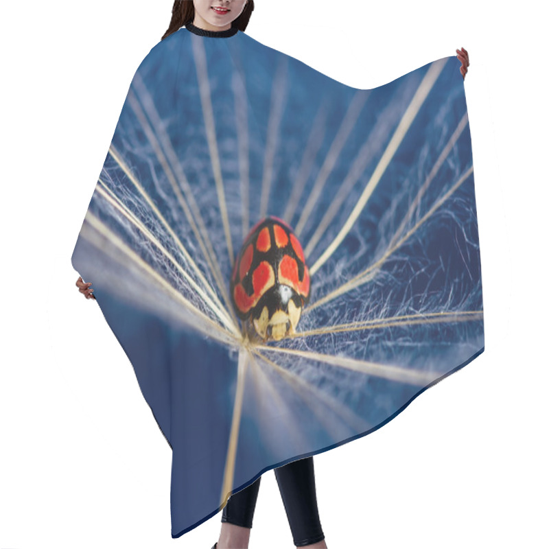 Personality  Red Lady Bug Sit On A Floating Dandoline In Bright Blue Hair Cutting Cape