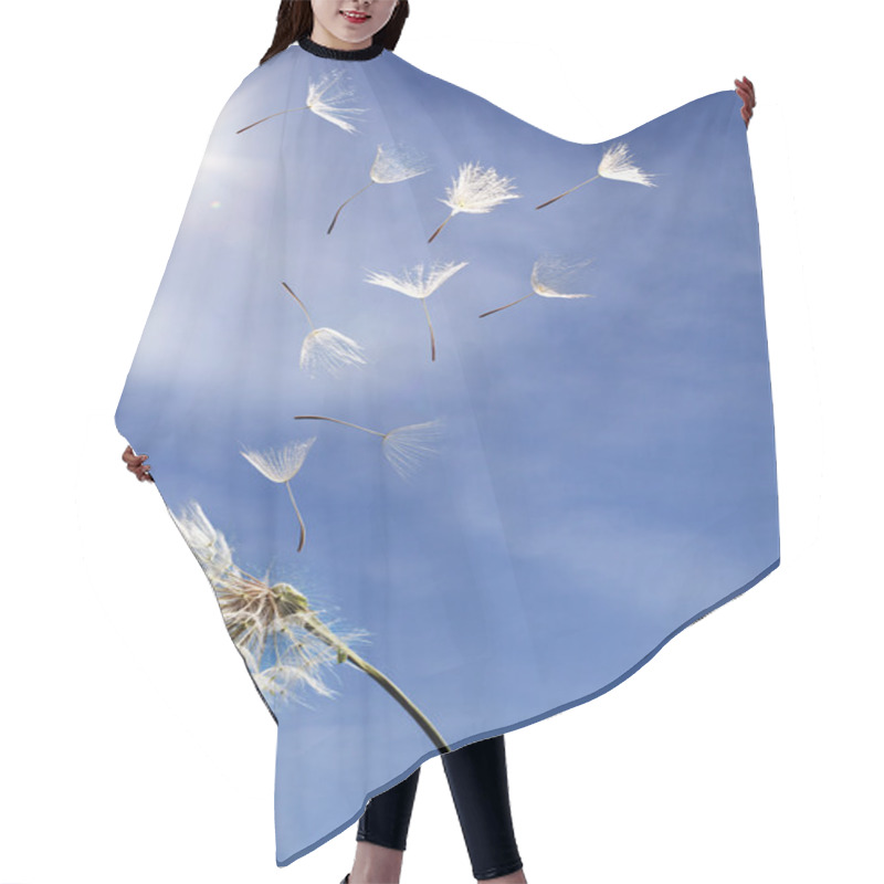 Personality  Flying Dandelion Seeds On A Blue Background Hair Cutting Cape