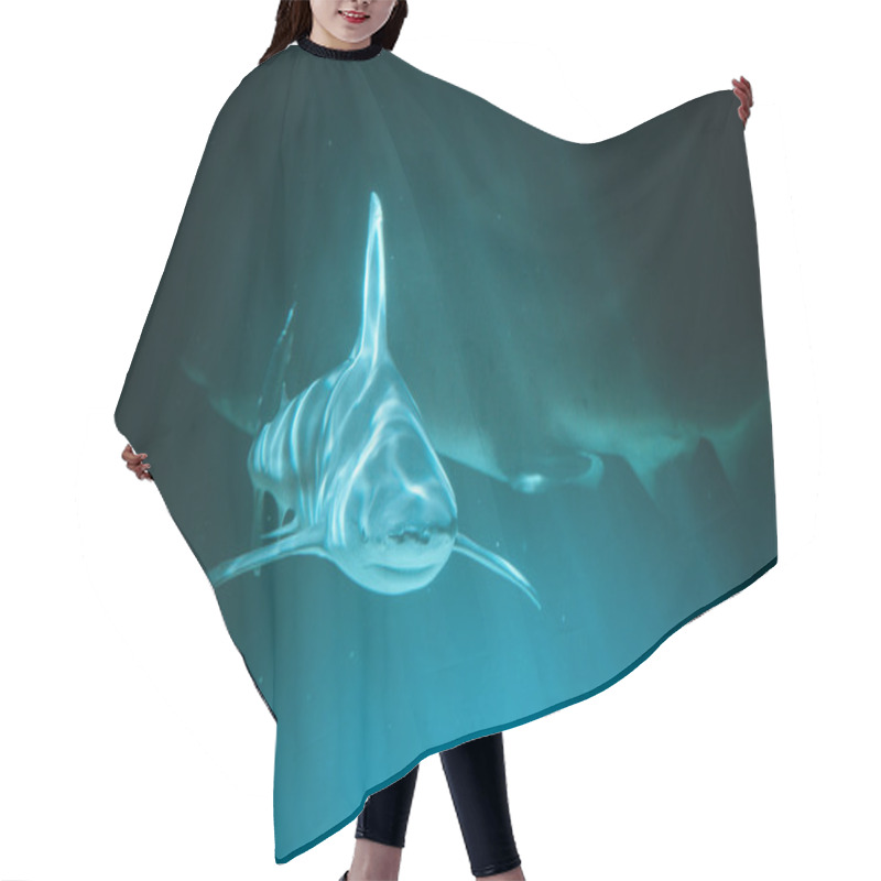 Personality  Great Shark Hair Cutting Cape