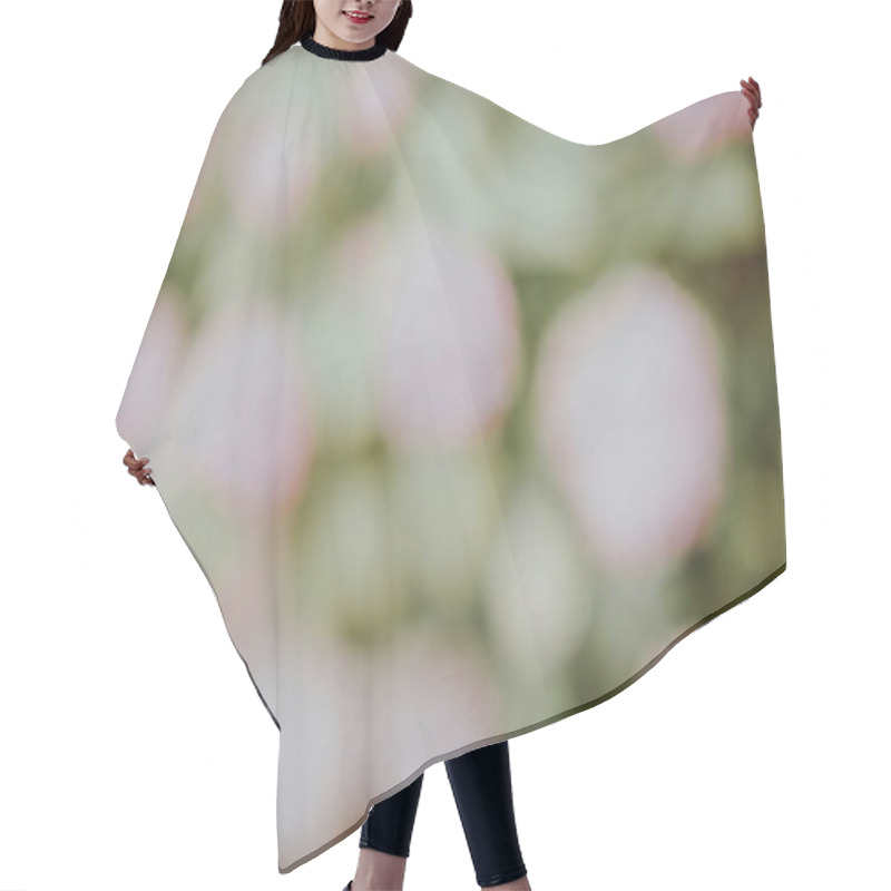 Personality  Softly Blurred Pastel Flowers In A Tranquil Garden Setting. Hair Cutting Cape