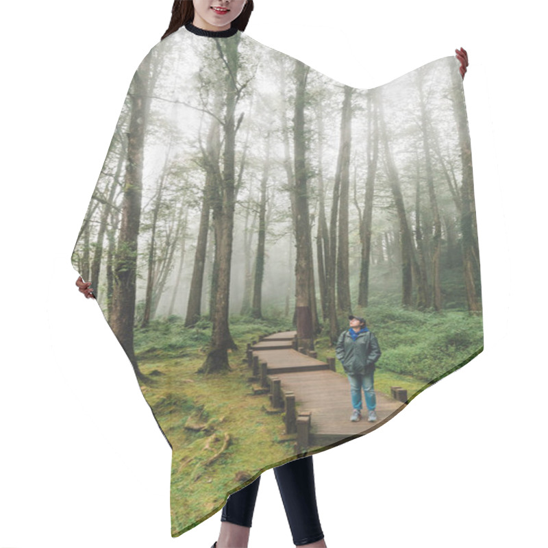 Personality  Woman Tourist Walking In Cypress And Cedar Trees In The Forest With Fog In Alishan National Forest Recreation Area In Chiayi County, Alishan Township, Taiwan. Hair Cutting Cape