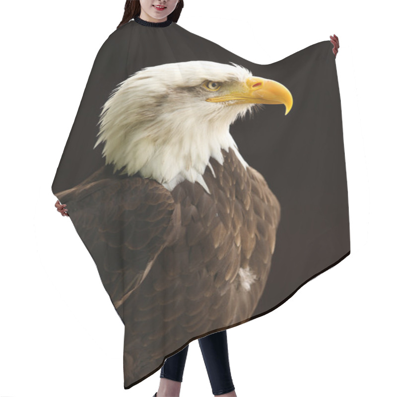 Personality  Bald Eagle Hair Cutting Cape