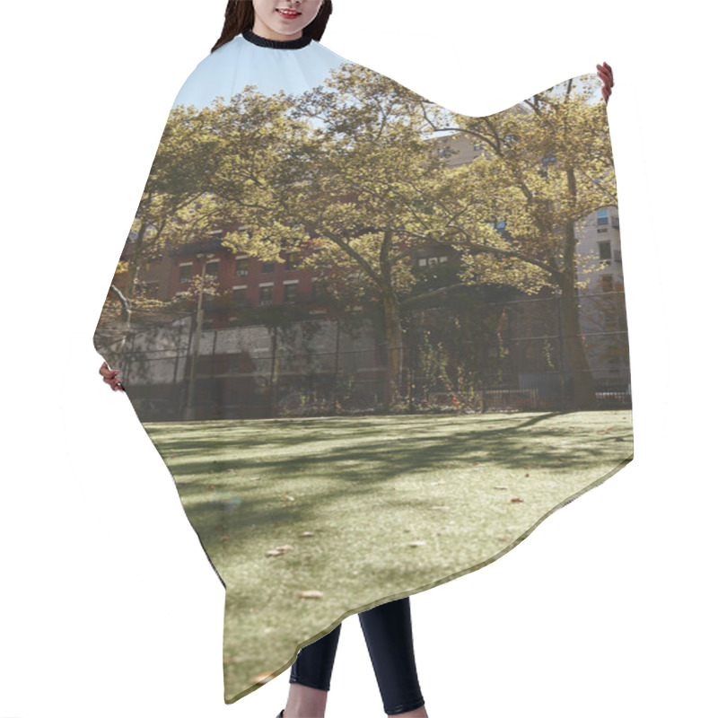 Personality  A View Of A Grassy Field In New York City, With Trees Casting Long Shadows On The Ground. Hair Cutting Cape