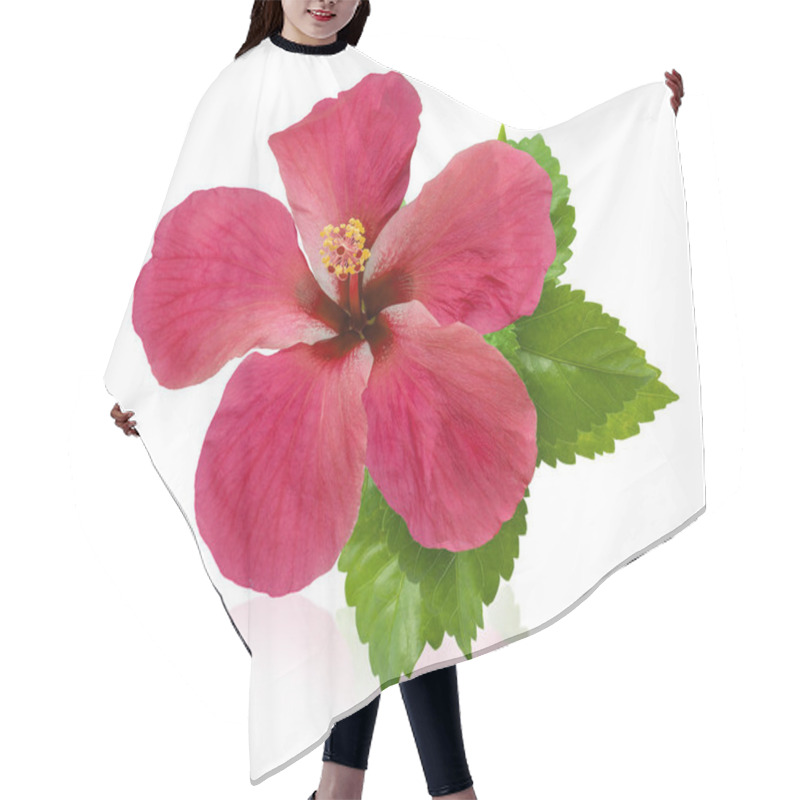 Personality  Hibiscus Flower Isolated On White Background Hair Cutting Cape