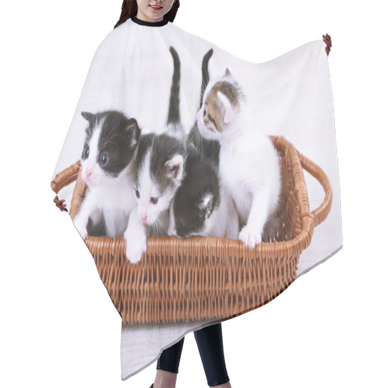 Personality  Cute Little Kittens In Wicker Basket Hair Cutting Cape