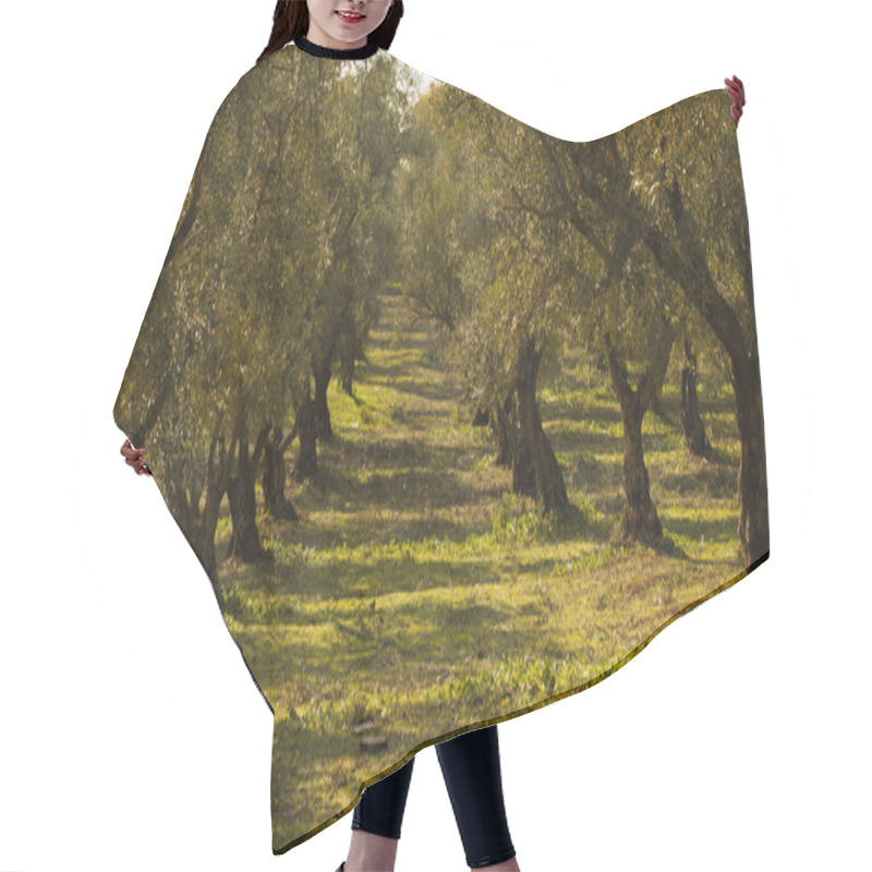 Personality  Olive Trees Hair Cutting Cape