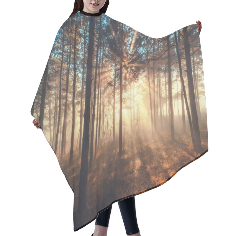 Personality  Sun Beams Pour Through Trees In Foggy Forest Hair Cutting Cape