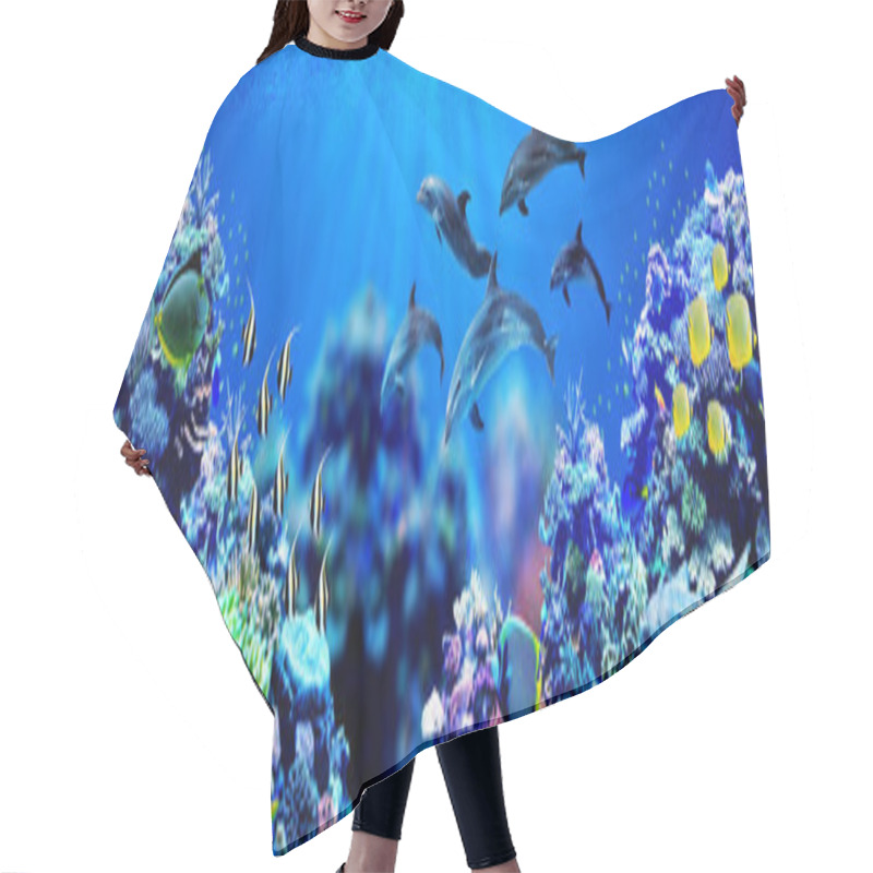 Personality  Panorama Background Of Dolphins Swimming In Beautiful Coral Reef With Marine Tropical Fish Hair Cutting Cape