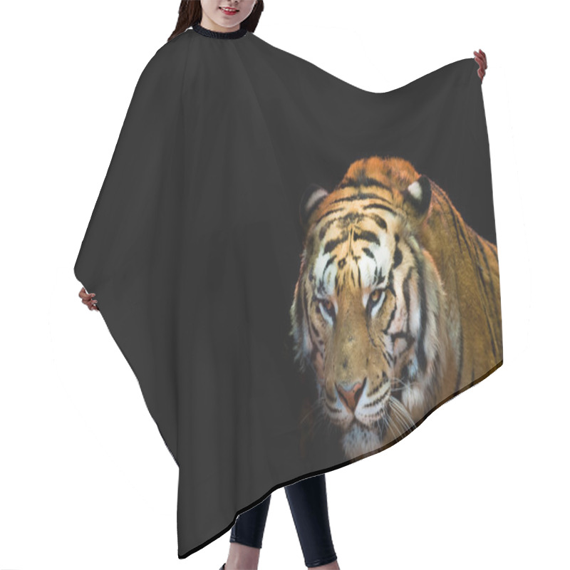 Personality  A Tiger Ready To Attack Looking At You Hair Cutting Cape