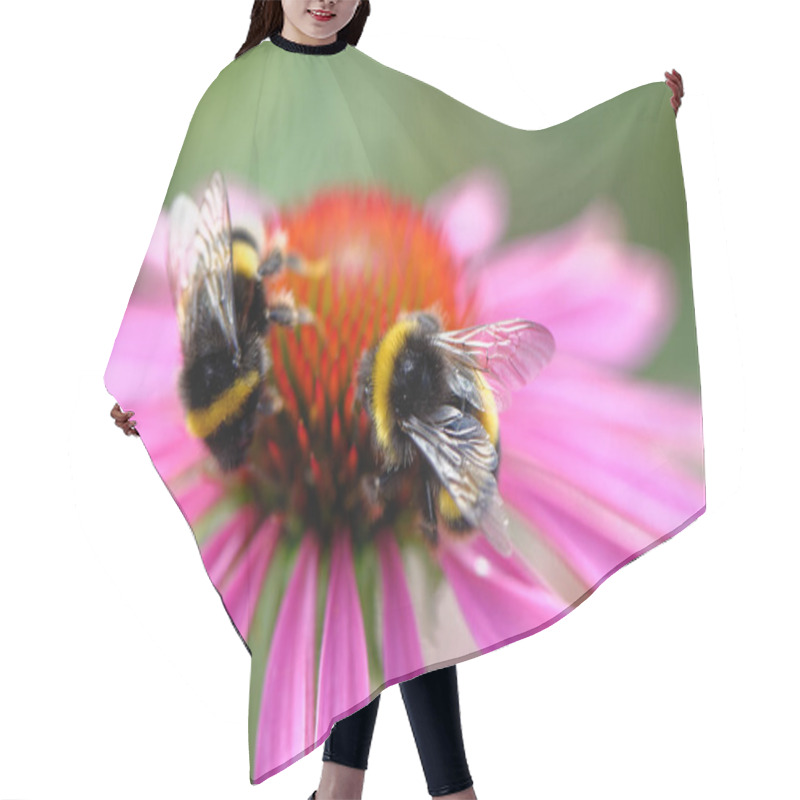 Personality  European Honey Bee On The Flower Hair Cutting Cape