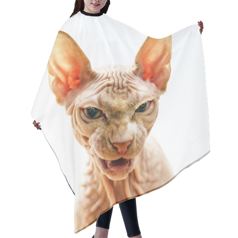 Personality  Horror Face Portrait Of Sphynx Cat Hair Cutting Cape