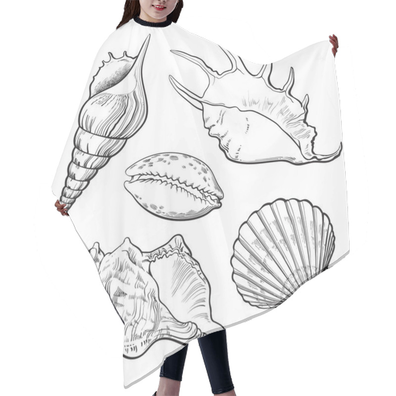 Personality  Set Of Various Beautiful Mollusk Sea Shells, Isolated Vector Illustration Hair Cutting Cape