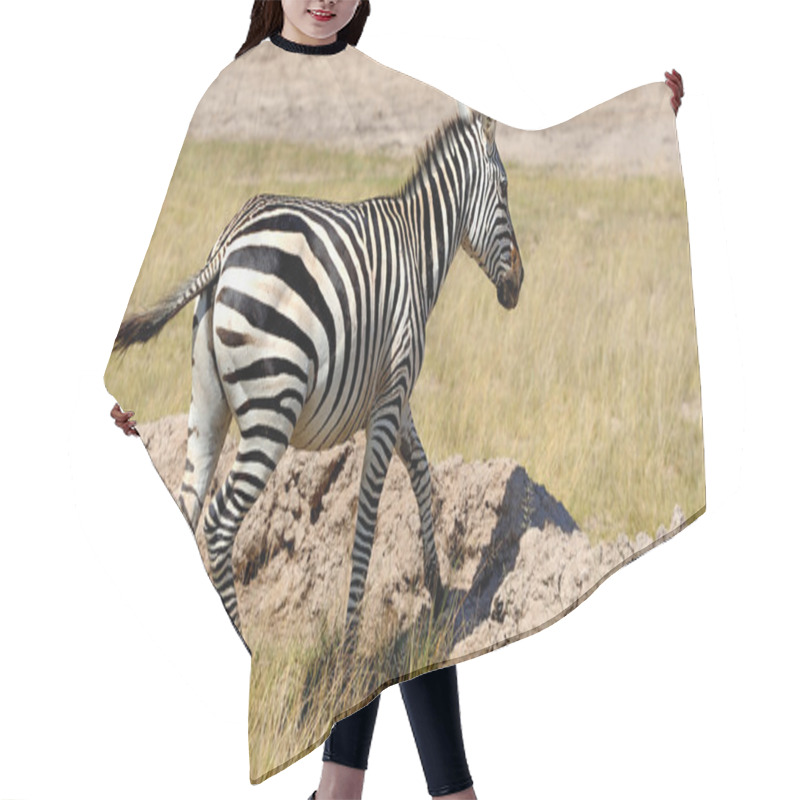 Personality  Zebra Hair Cutting Cape