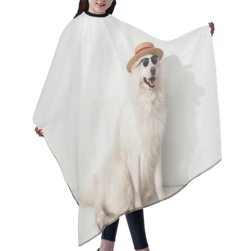 Personality  Dog In Hat And Sunglasses Hair Cutting Cape