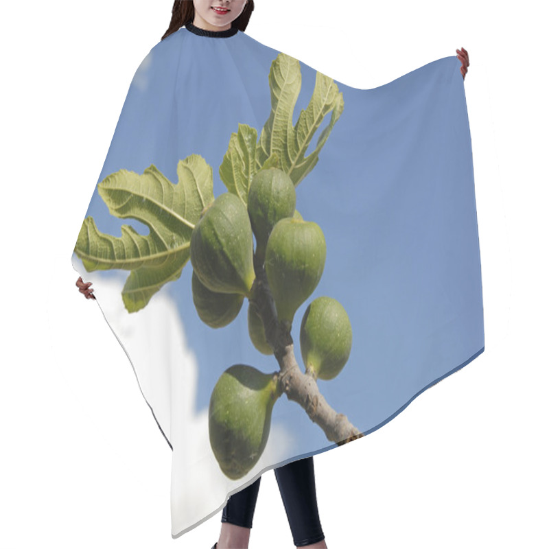 Personality  Fig Fruits And Leaf Hair Cutting Cape